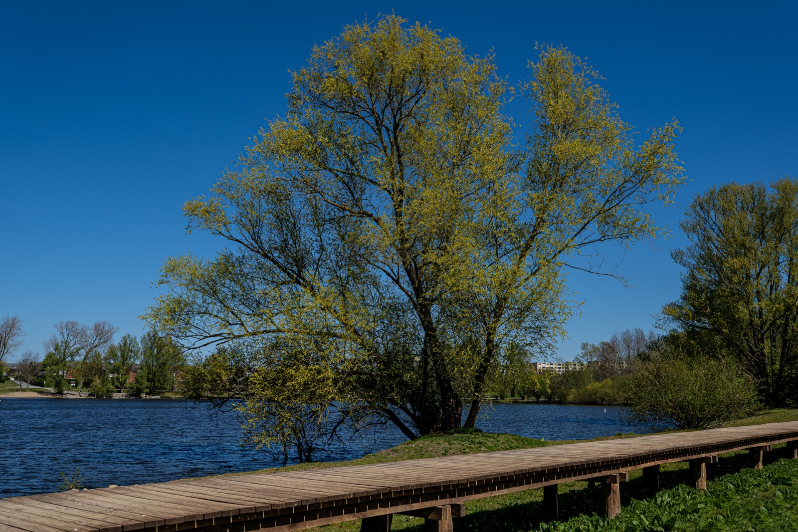 Ölpersee